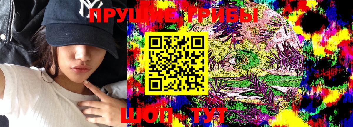Сунжа  Галлюциногенные грибы GOLDEN TEACHER  где купить наркоту  Псилоцибиновые грибы ЛСД  Вход с VPN 